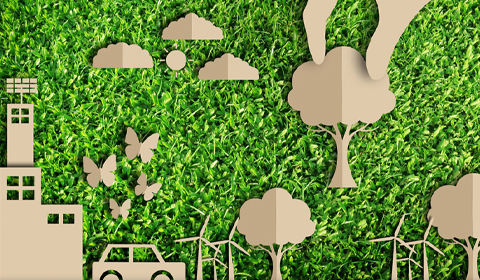 El Consultor Smart City